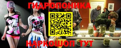 a pvp Рязань