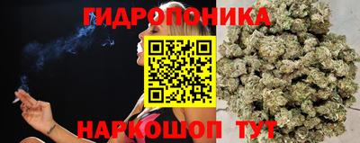 a pvp Рязань