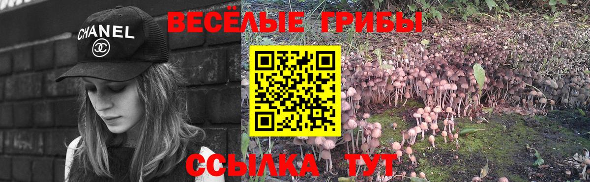 Галлюциногенные грибы ЛСД  Вход с VPN  Сарапул 