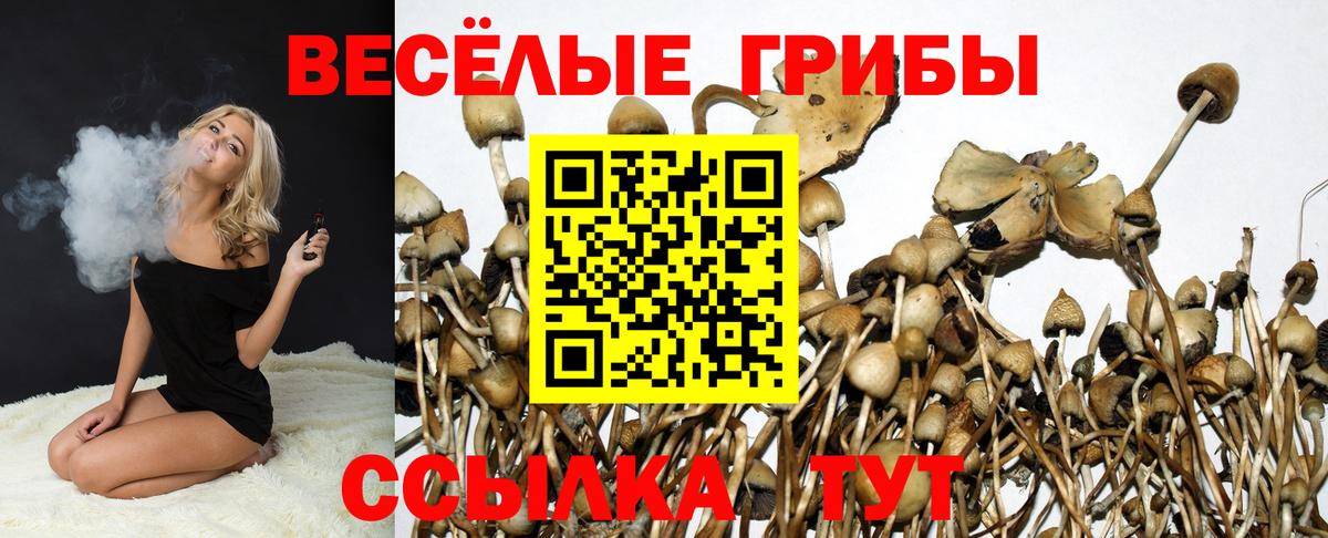 Псилоцибиновые грибы MAGIC MUSHROOMS Сарапул