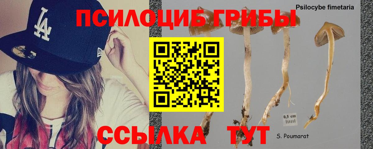 Конопля Сарапул